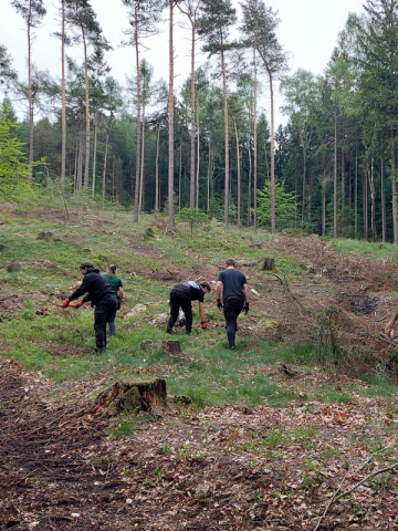 Umweltprojekt FOSW 20b am 07.06.2022